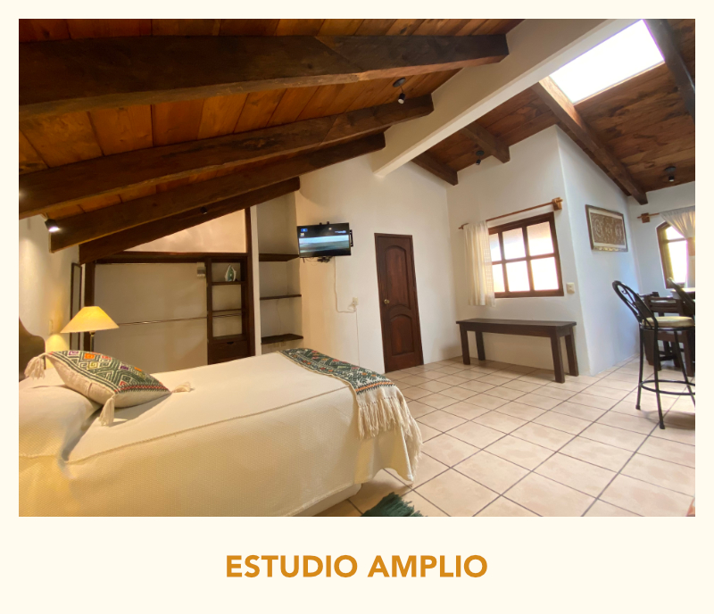 ESTUDIO_AMPLIO